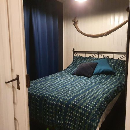A Room With A View - Maisonnette Dans Bourg Medieval Au Bord Du Lac Leman Ивоар Екстериор снимка