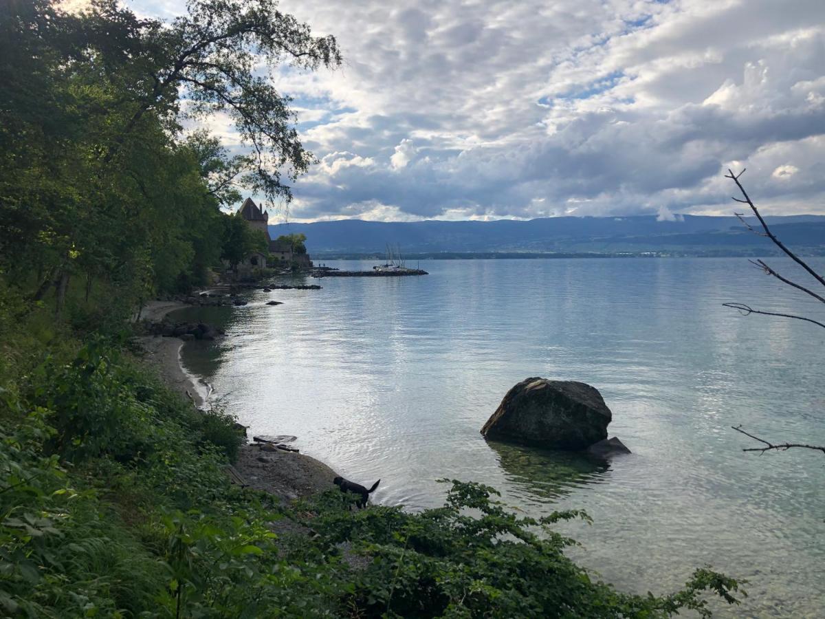 A Room With A View - Maisonnette Dans Bourg Medieval Au Bord Du Lac Leman Ивоар Екстериор снимка